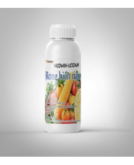 VICOWIN-UCIDAM (RONG BIỂN NÂU)