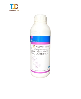 PHÒNG VÀ TRỊ BỆNH XÌ MỦ TRÊN SẦU RIÊNG